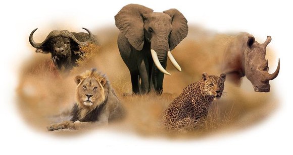 The “Big 5” Safari Adventure in Tanzania