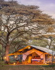 Serengeti Gift Card