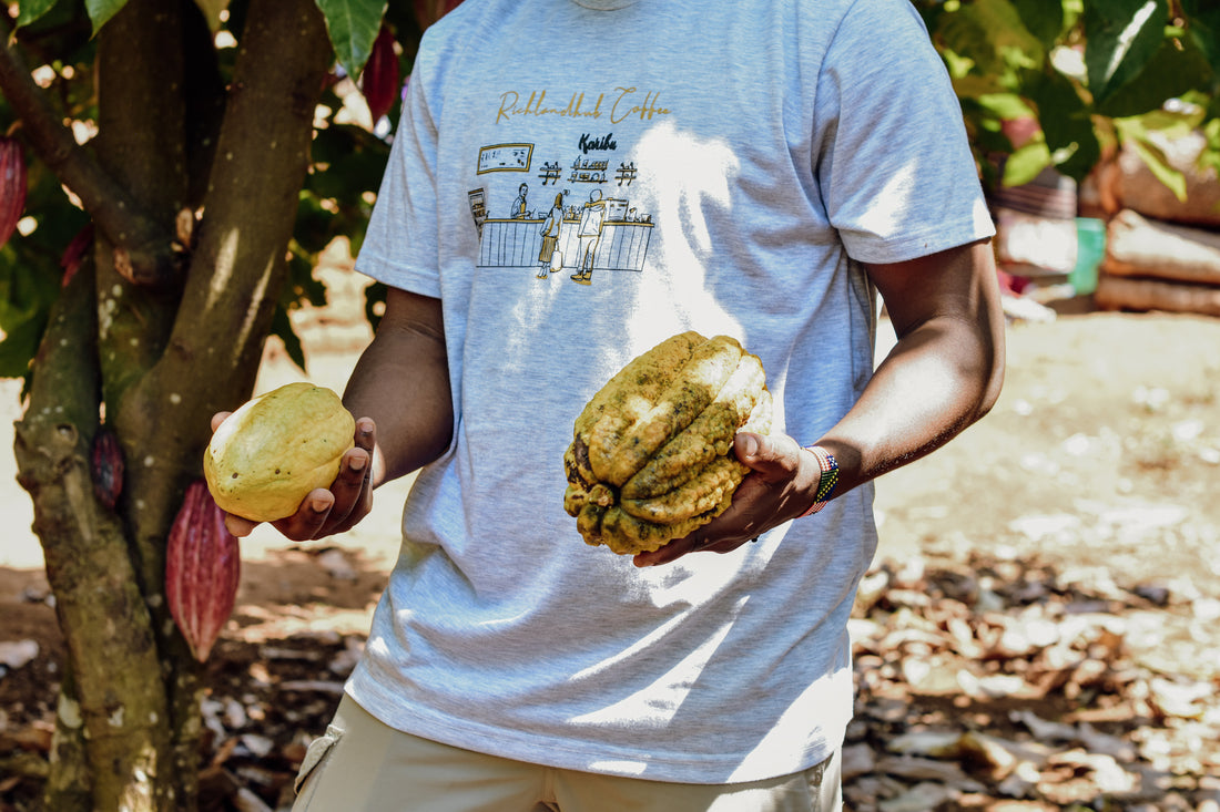 Shop African Coffee, Cashews, Cacao and Honey at RichlandHub